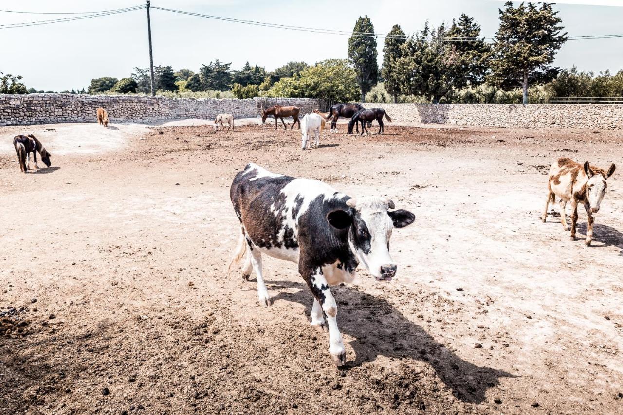 Masseria Prosperi Alimini Exteriér fotografie