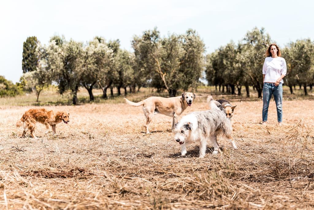 Masseria Prosperi Alimini Exteriér fotografie