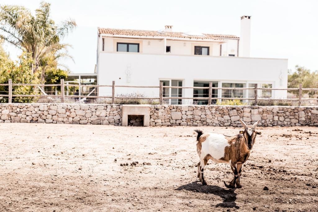 Masseria Prosperi Alimini Exteriér fotografie