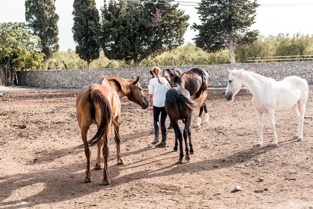 Masseria Prosperi Alimini Exteriér fotografie